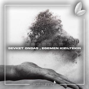 杨幂换脸大片mv高清
