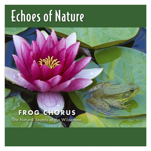 杨幂换脸大片mv高清
